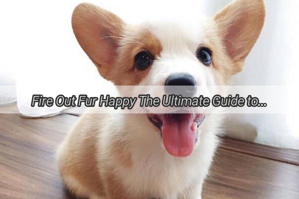 Fire Out Fur Happy The Ultimate Guide to Soothing Your Dogs Flaming Discomforts